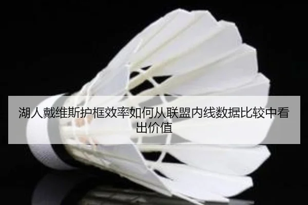 湖人戴维斯护框效率如何从联盟内线数据比较中看出价值