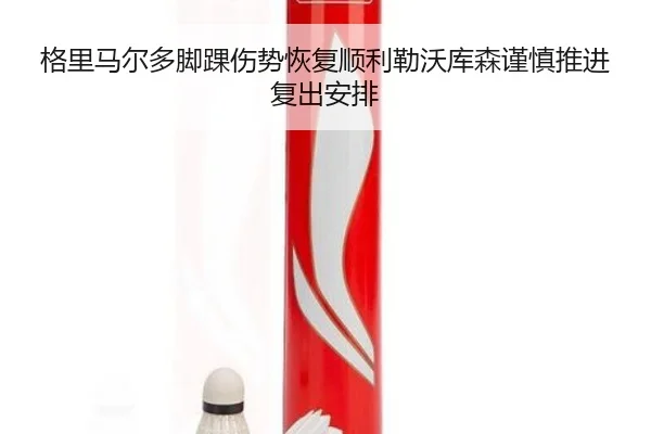格里马尔多脚踝伤势恢复顺利勒沃库森谨慎推进复出安排